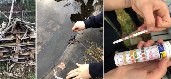 Nature Club 2