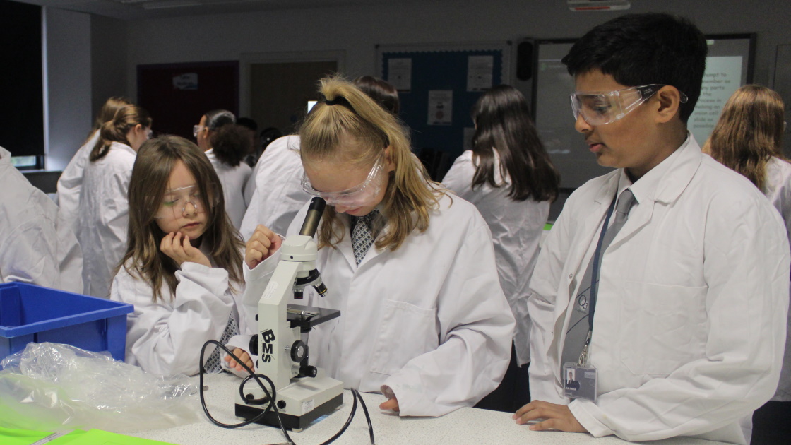 Year 7 Science 1