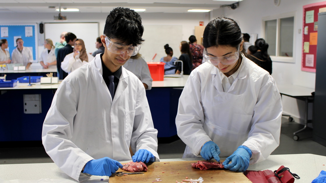 Science 2