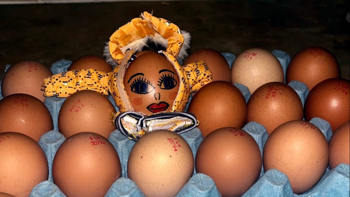 Eggs in a carton