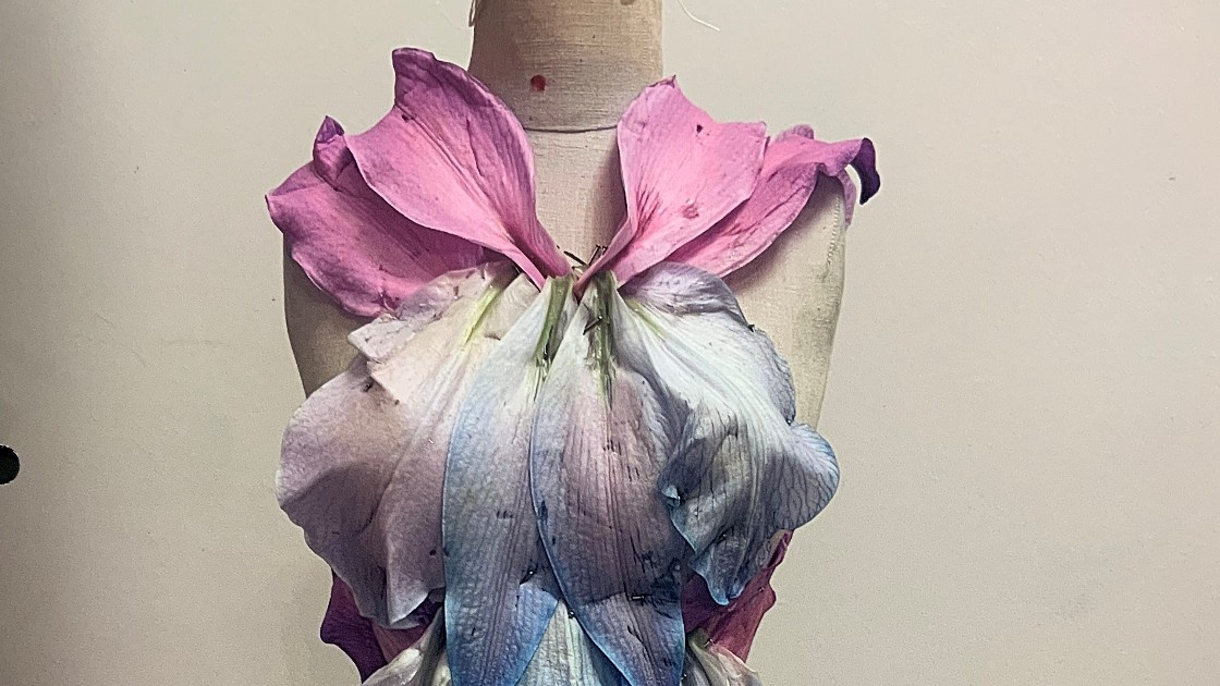 Photograph of a dress