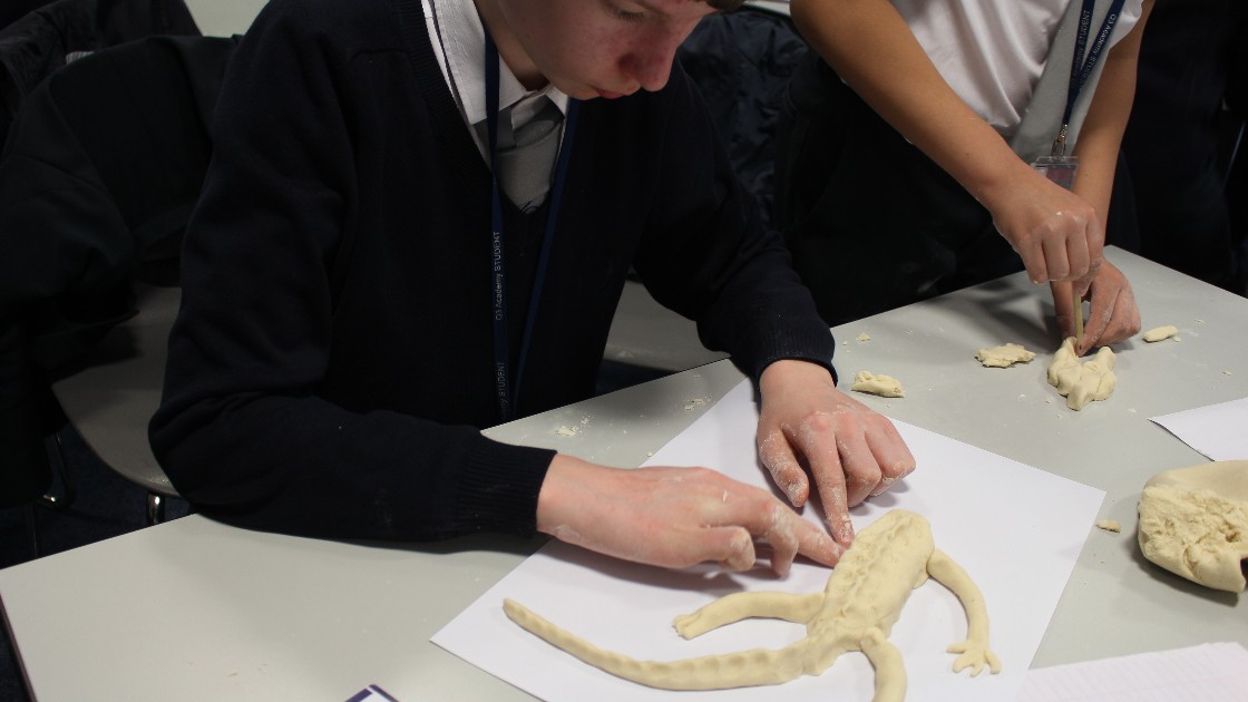 Students creating dough models