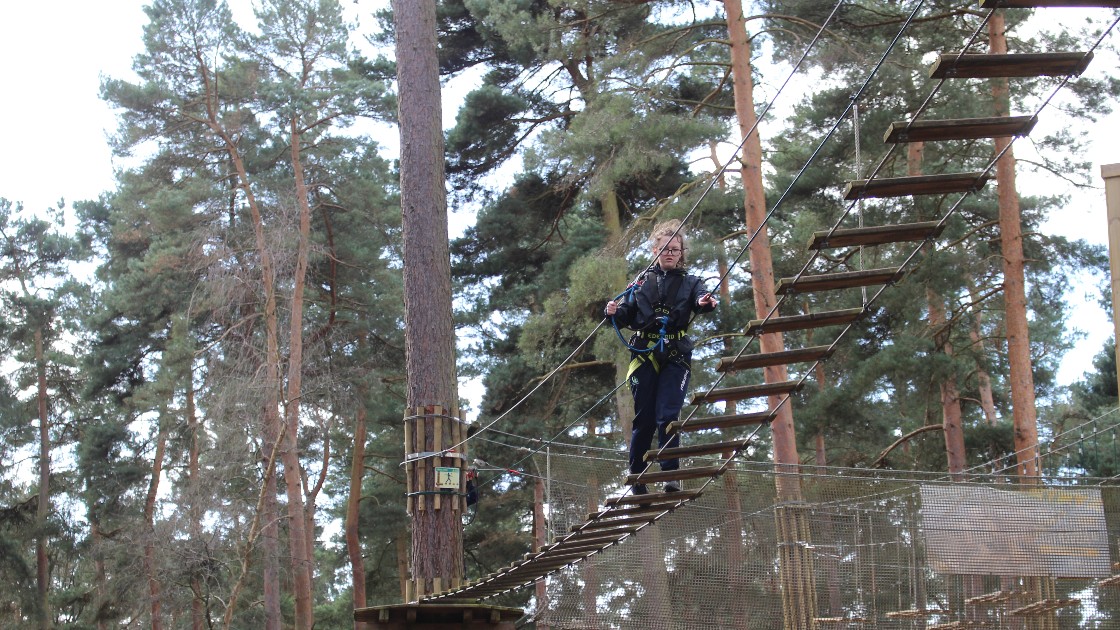 Treetop adventure