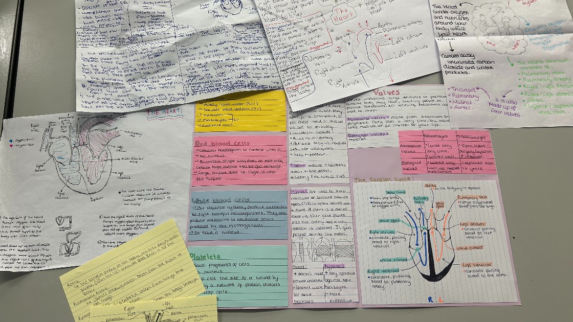 Student revision notes