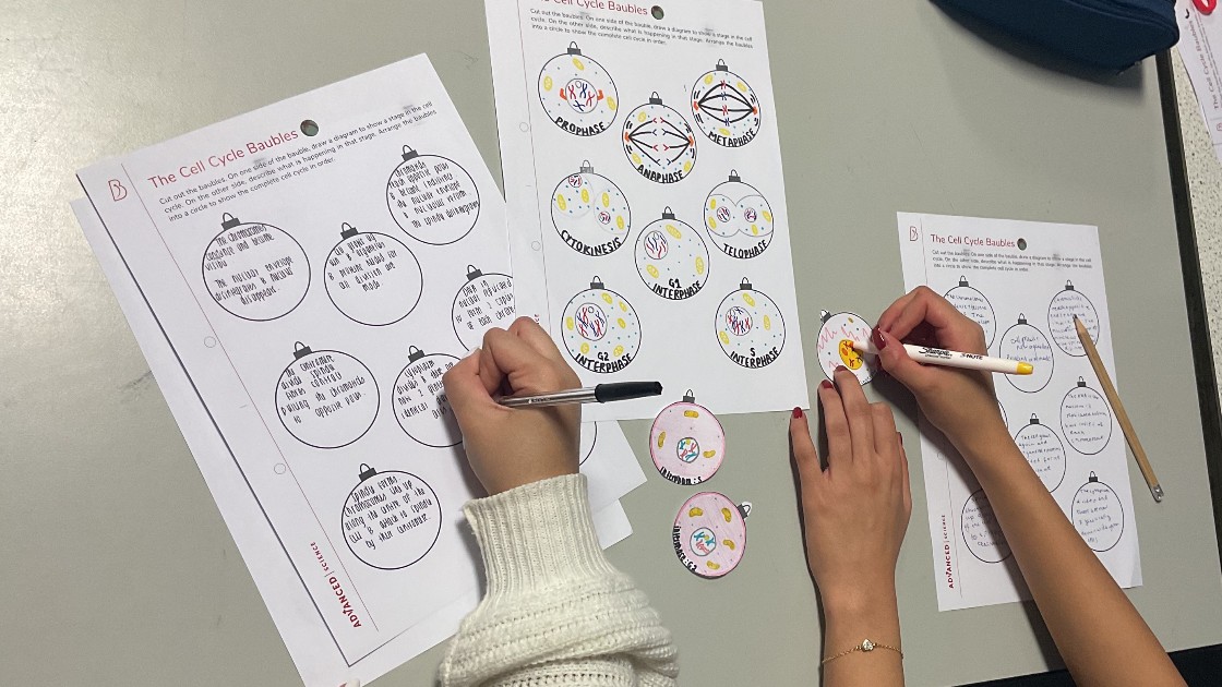 Students working hard to produce their cell cycle models.