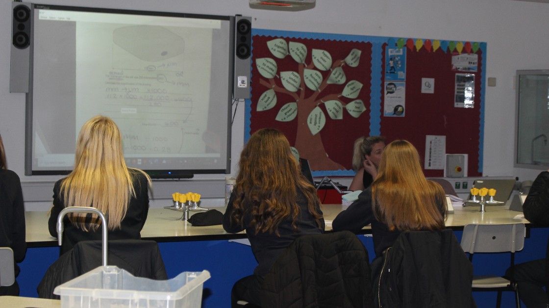 A group of students working on biology revision in science