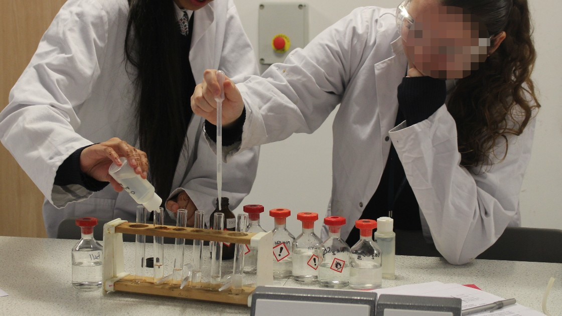 Students testing for ions.