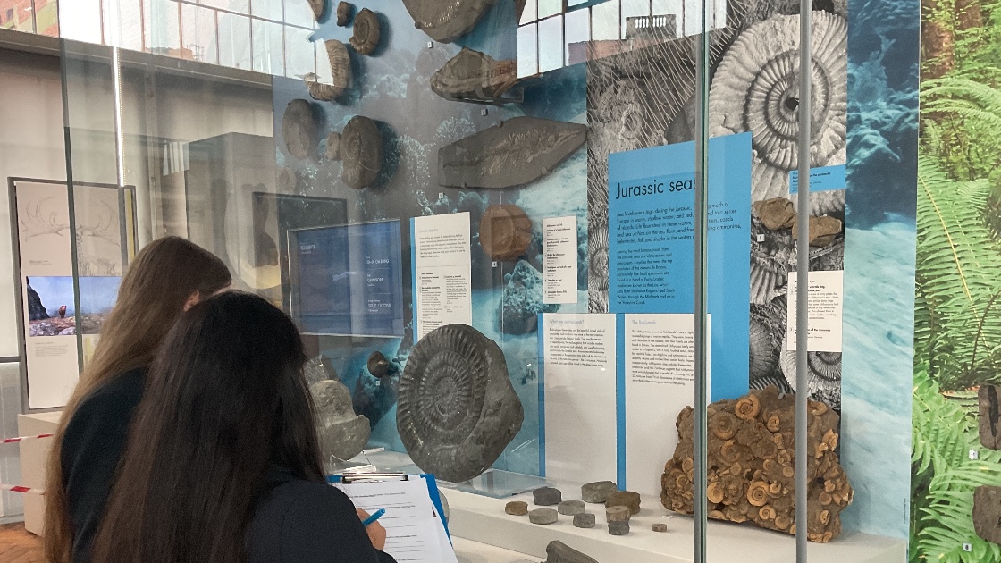 Students looking at fossils