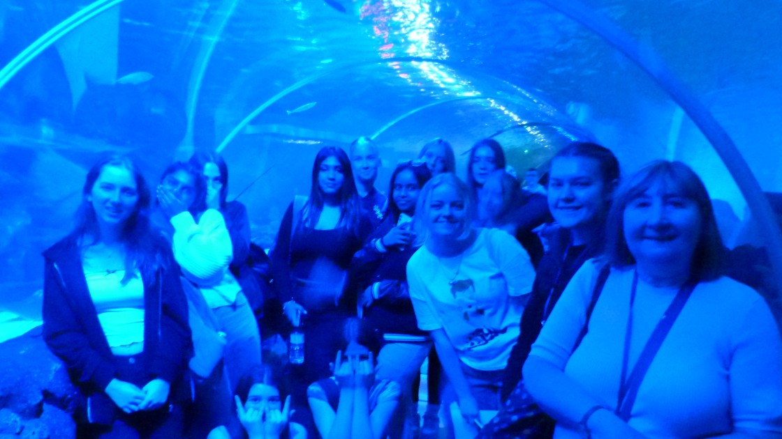 group photo