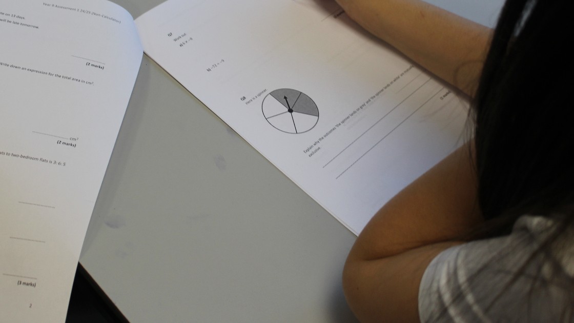 A student working on a maths worksheet with a pie chart