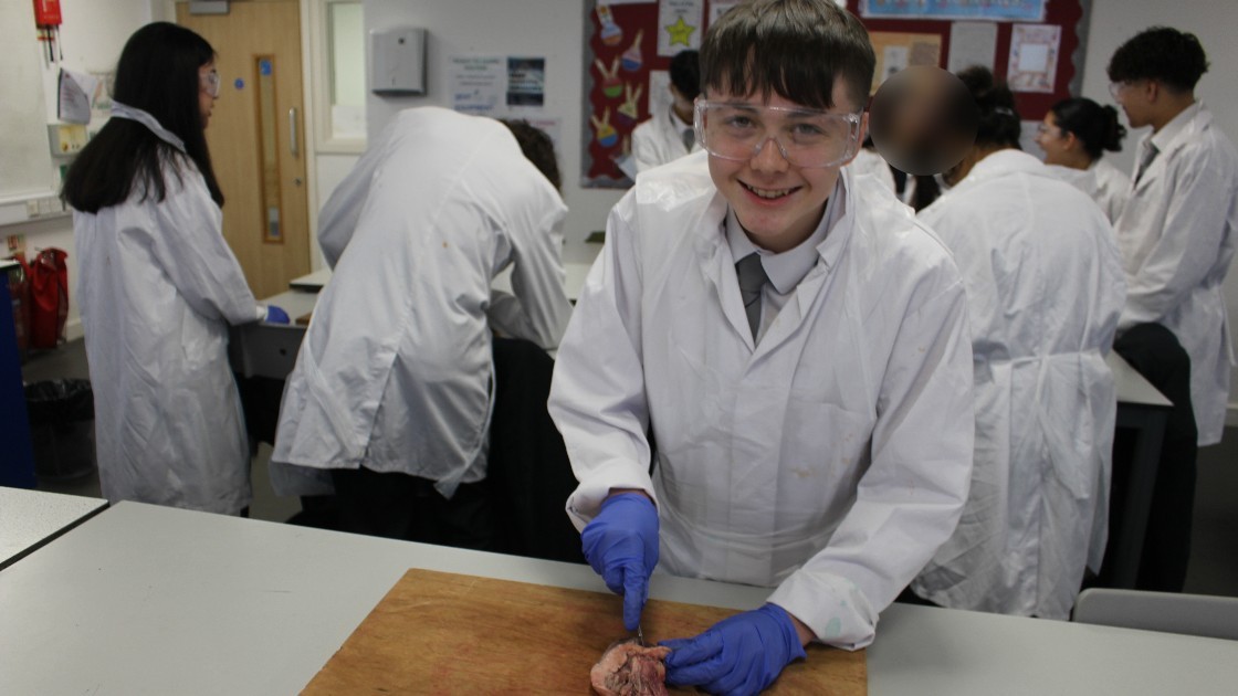 A student in a lab coat and safety goggles dissecting an organ on a wooden board during a science lesson
