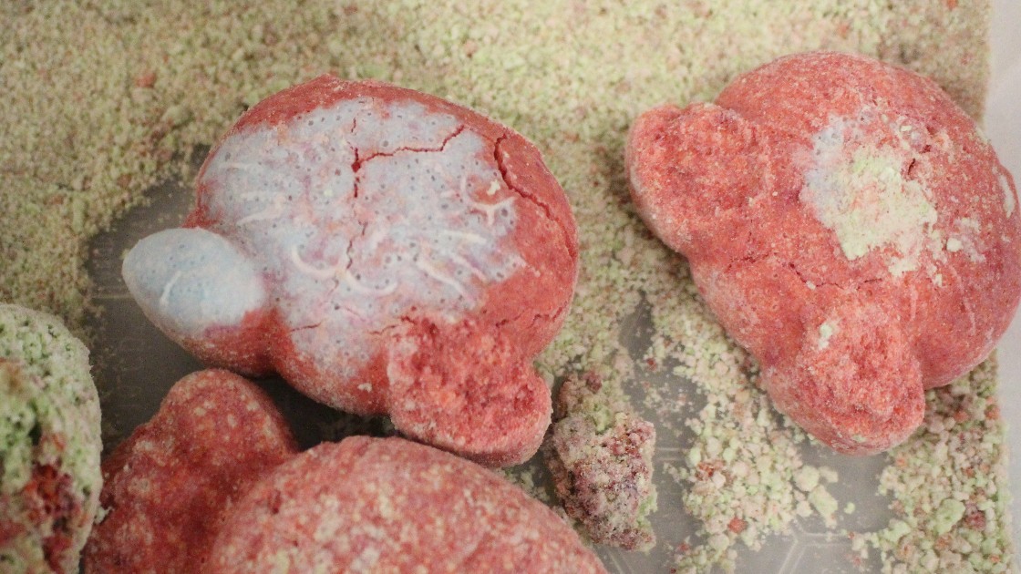 A Year 7 student's bath bombs which he made at home