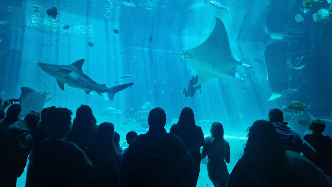 Nausicaa Aquarium